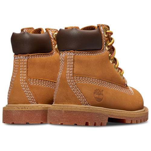 TD Timberland 6" Premium Waterproof Boot