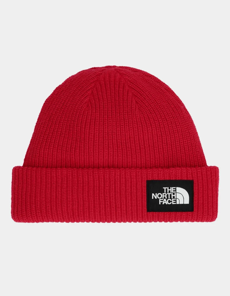TNF Salty Lined Beanie
