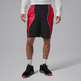 Air Jordan Sport Dri-FIT Y2K Shorts