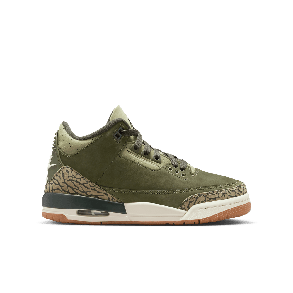 GS Air Jordan 3 Retro