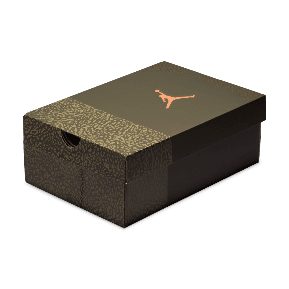 GS Air Jordan 3 Retro