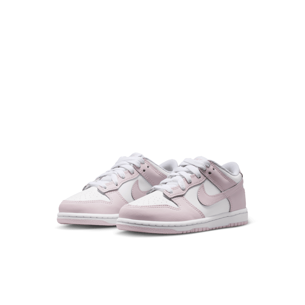 PS Nike Dunk Low