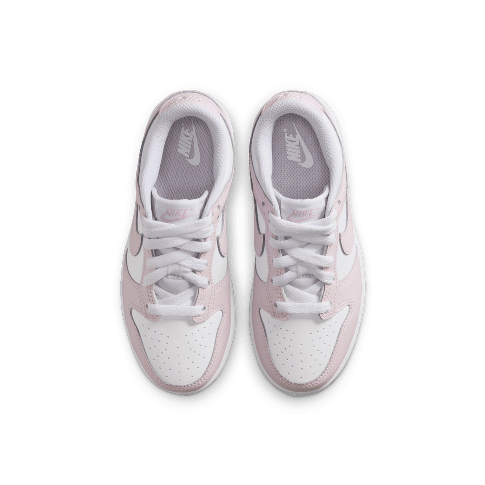 PS Nike Dunk Low