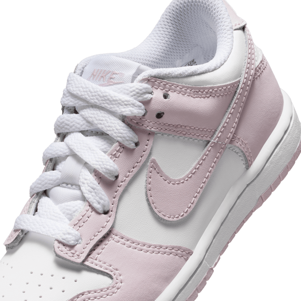 PS Nike Dunk Low