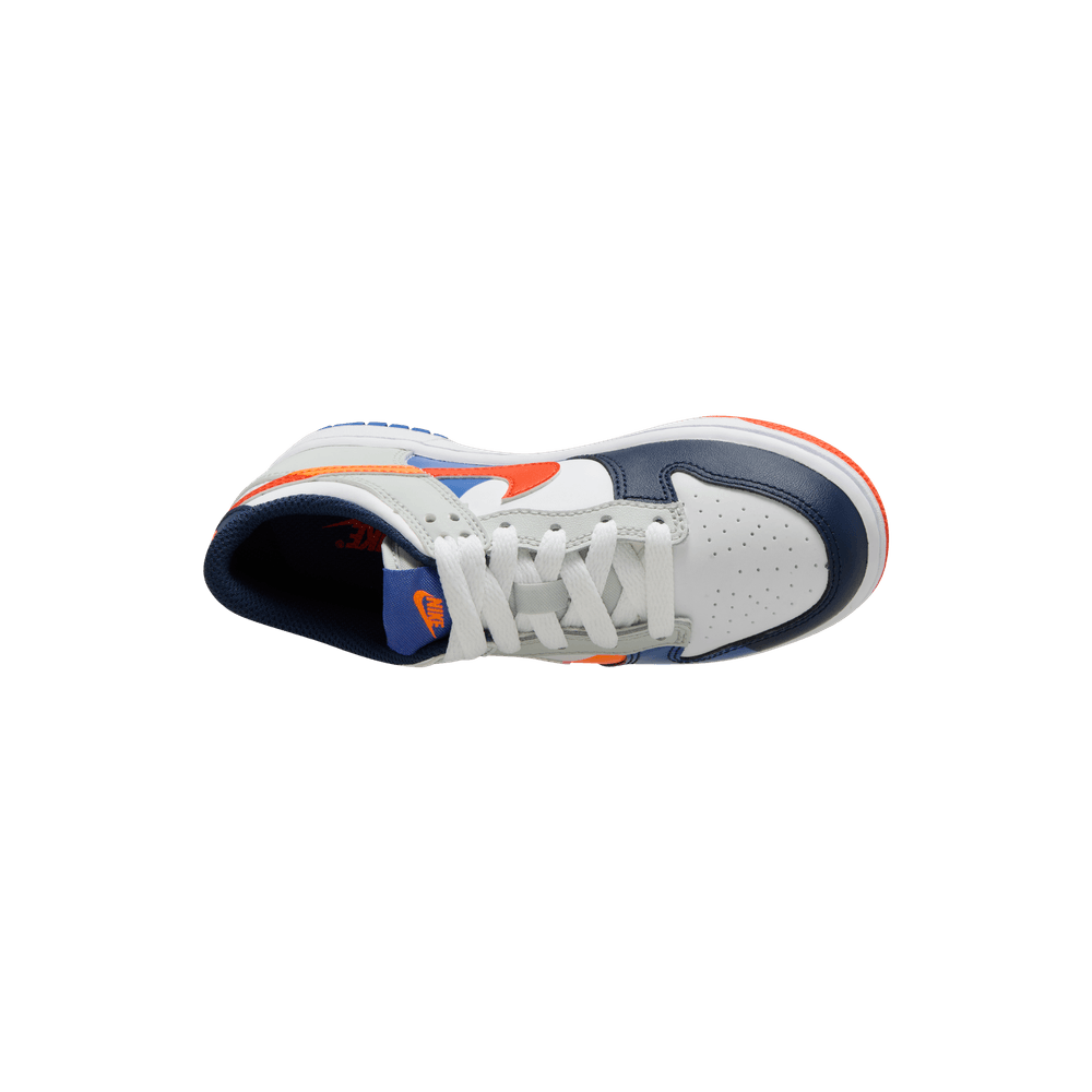 PS Nike Dunk Low