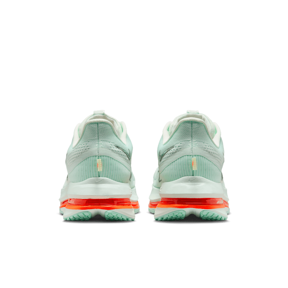 Nike Pegasus Premium