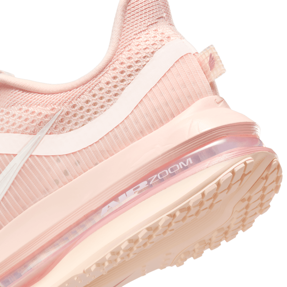 Wmns Nike Pegasus Premium