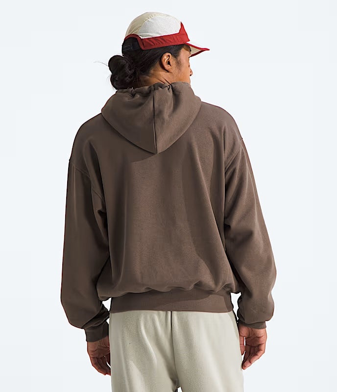 TNF Evolution Box NSE Hoodie 'Smokey Brown|NF0A8CWP1OI|Top Fashion