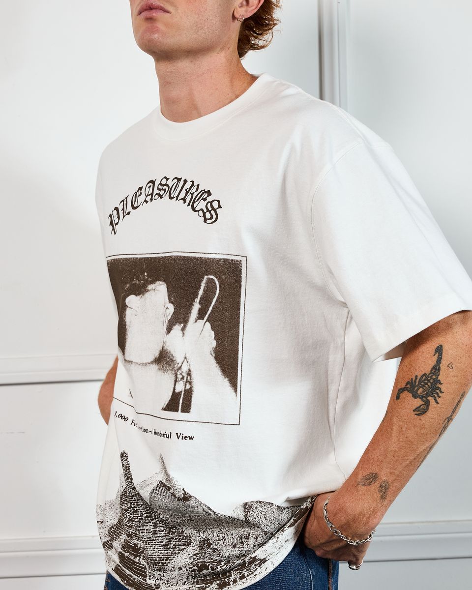 Pleasures Elevation Heavyweight Tee