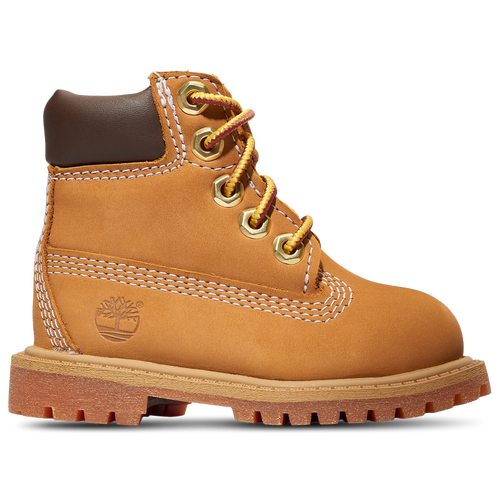 TD Timberland 6" Premium Waterproof Boot
