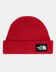 TNF Salty Lined Beanie 