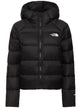 TNF Hydrenalite Down Hoodie