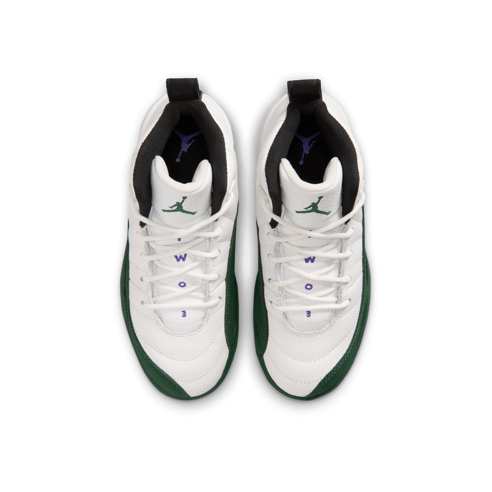 PS Air Jordan 12 Retro