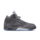Air Jordan 5 Retro