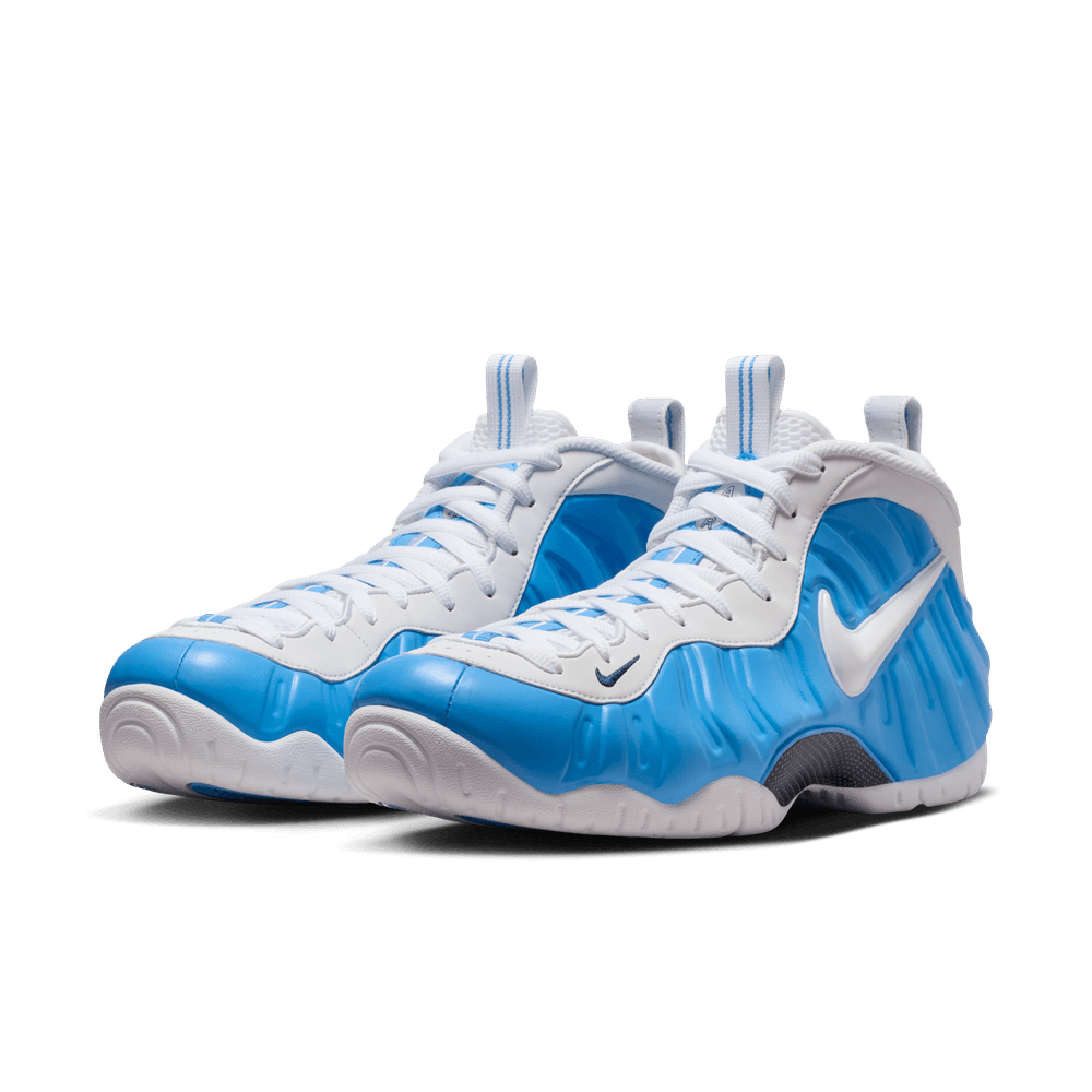 Nike Air Foamposite Pro