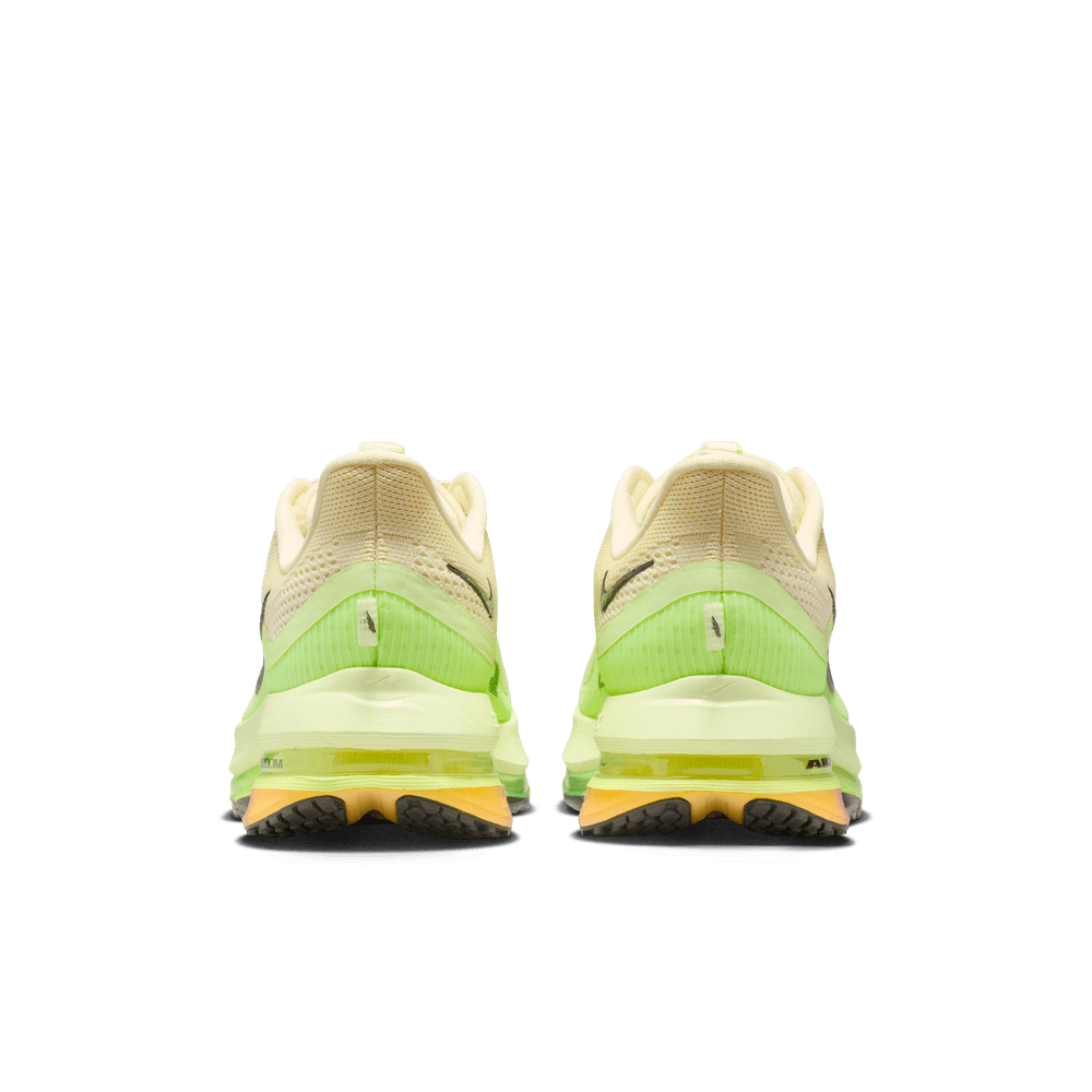 Nike Pegasus Premium