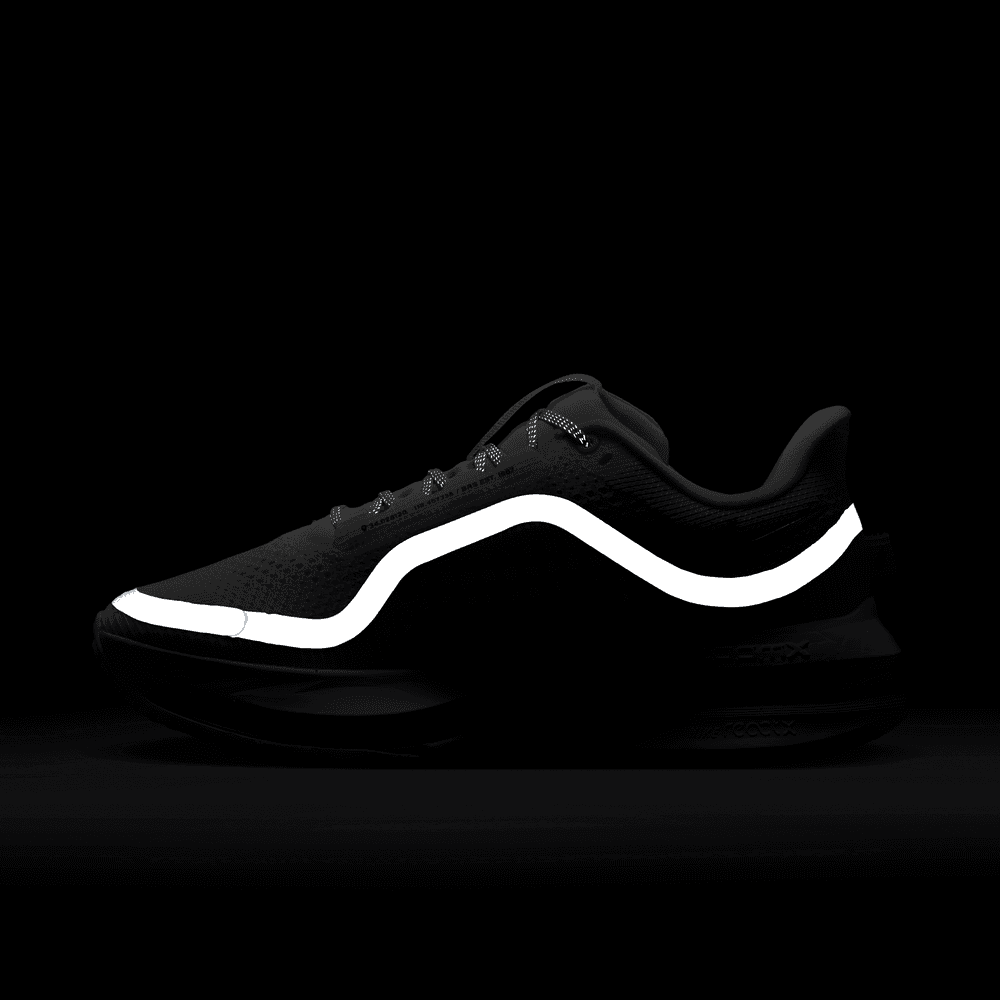 Wmns Nike Pegasus Premium