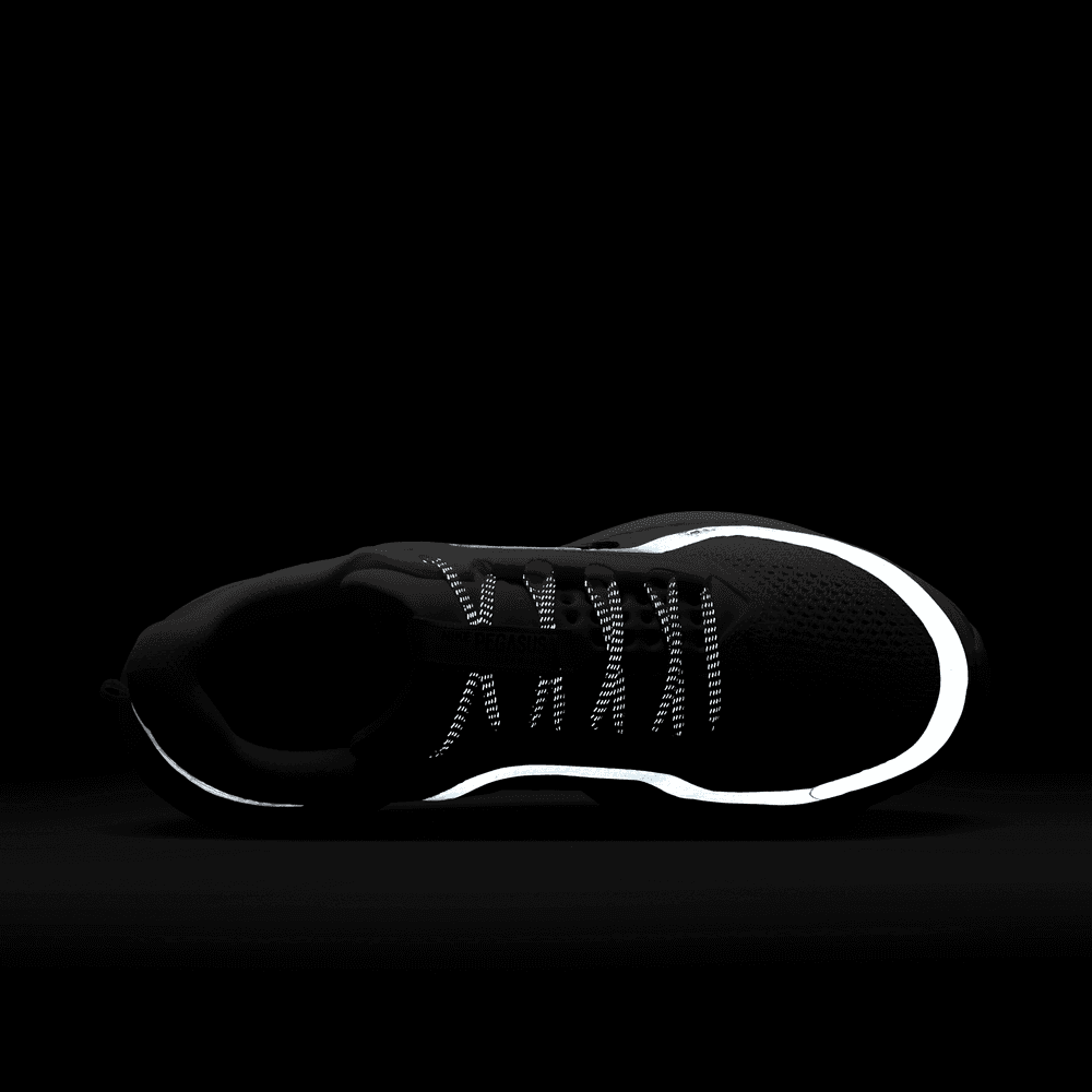 Wmns Nike Pegasus Premium