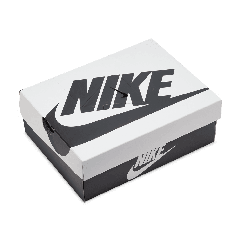 GS Nike Dunk Low Se
