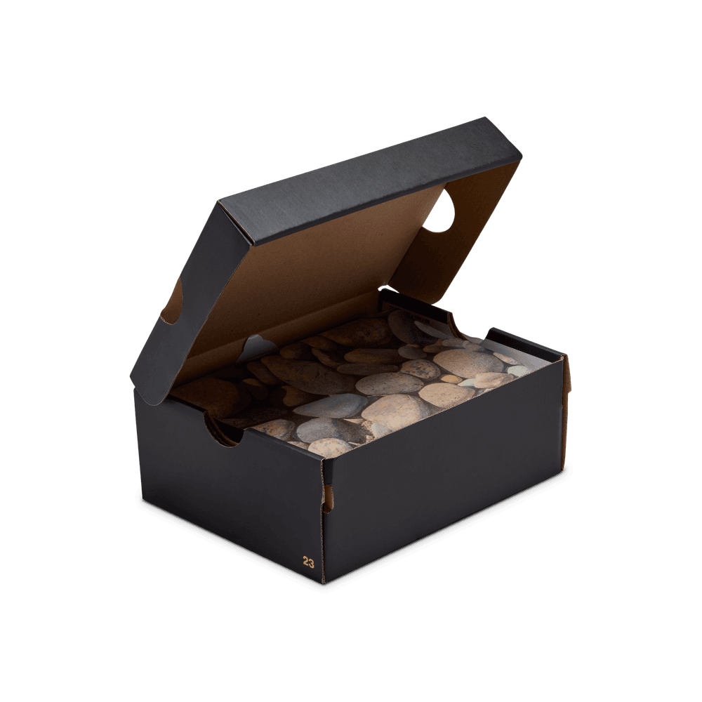 PS Air Jordan 3 Retro