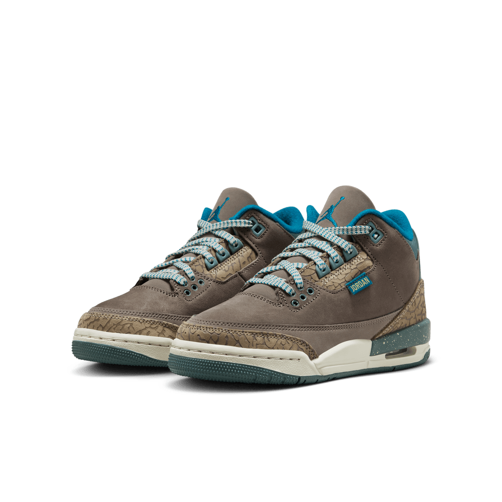 GS Air Jordan 3 Retro