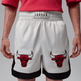 Air Jordan Flight Muay Thai Shorts