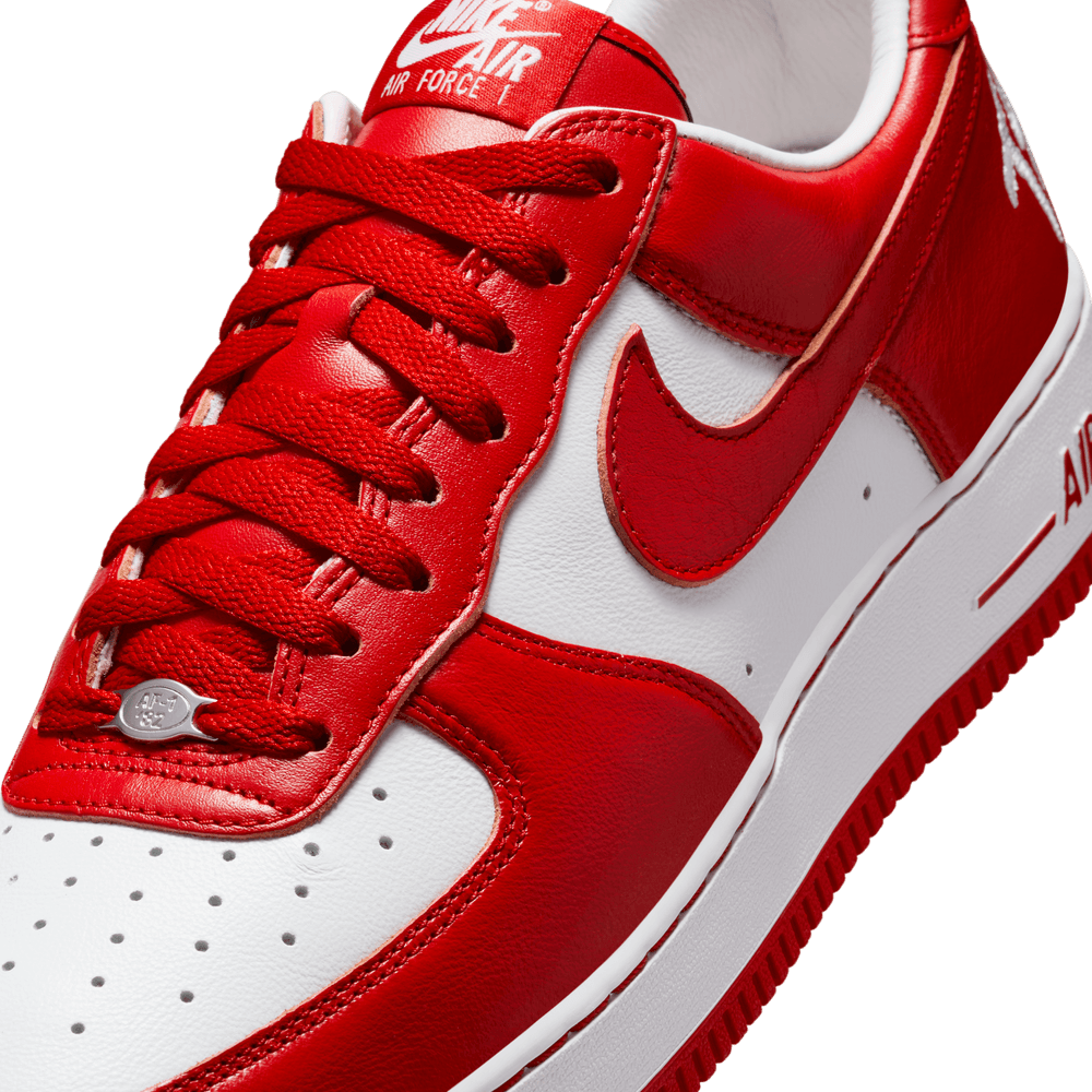 Nike Air Force 1 Low X Terror Squad