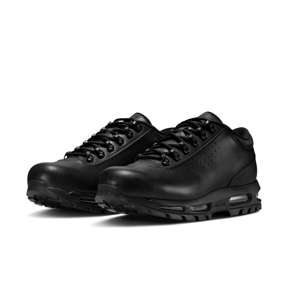 Nike Air Max Goadome Low SP