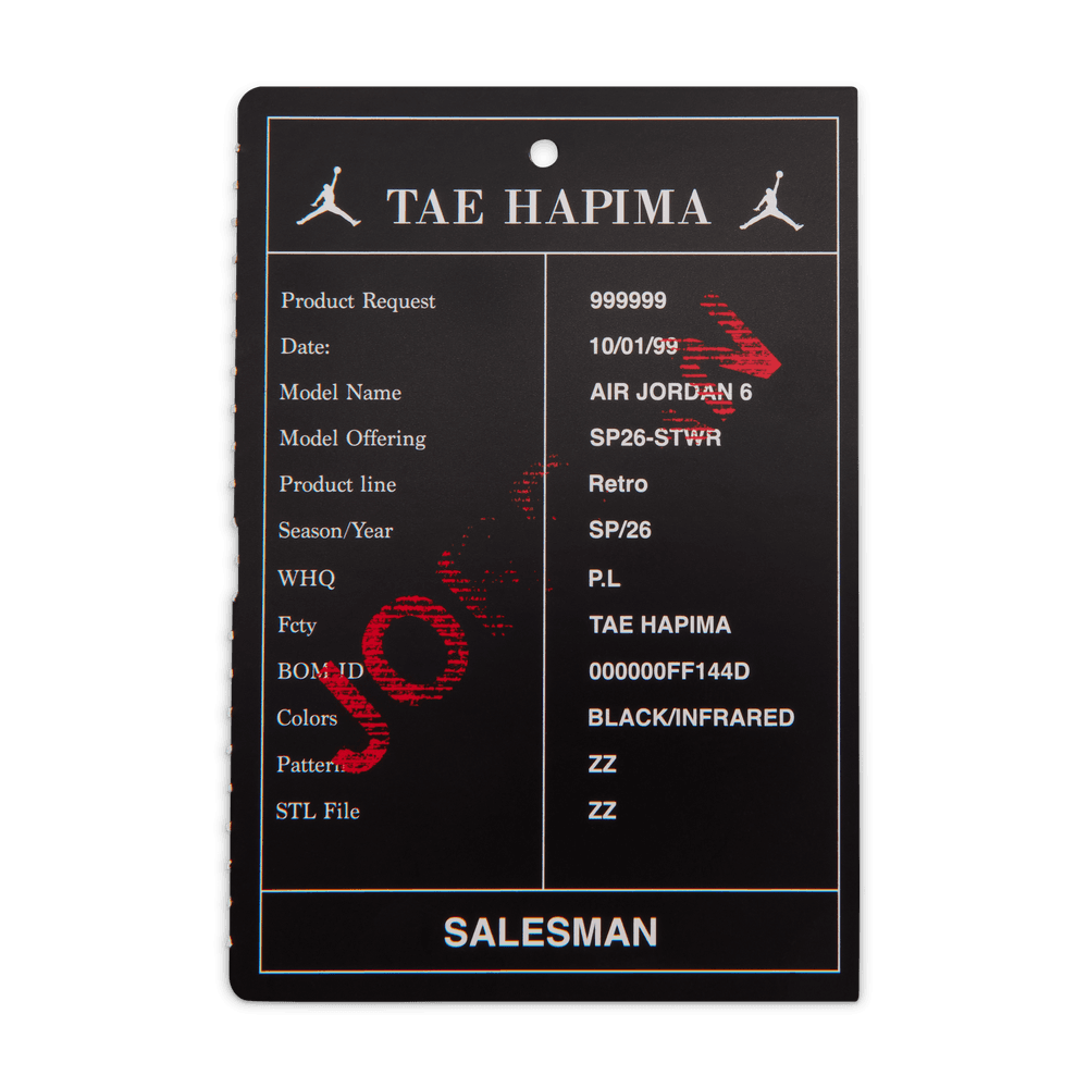 PS Air Jordan 6 Retro