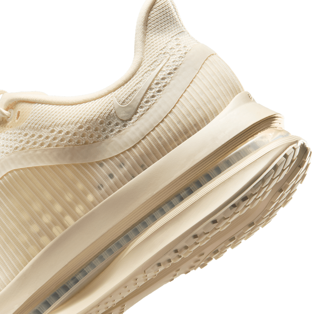 Nike Pegasus Premium