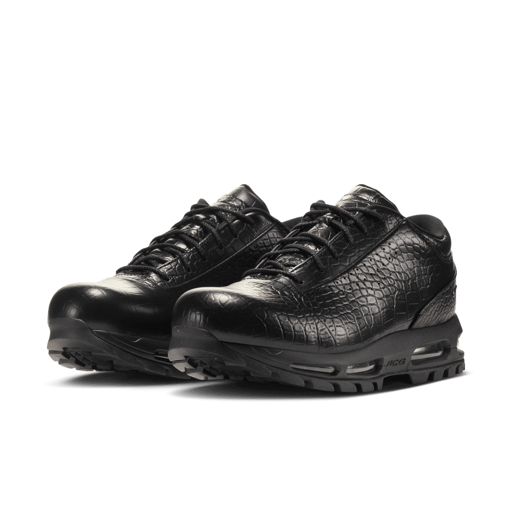 Nike Air Max Goadome Low SP