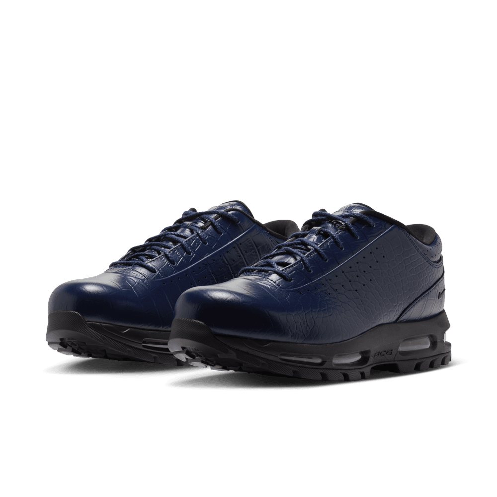 Nike Air Max Goadome Low