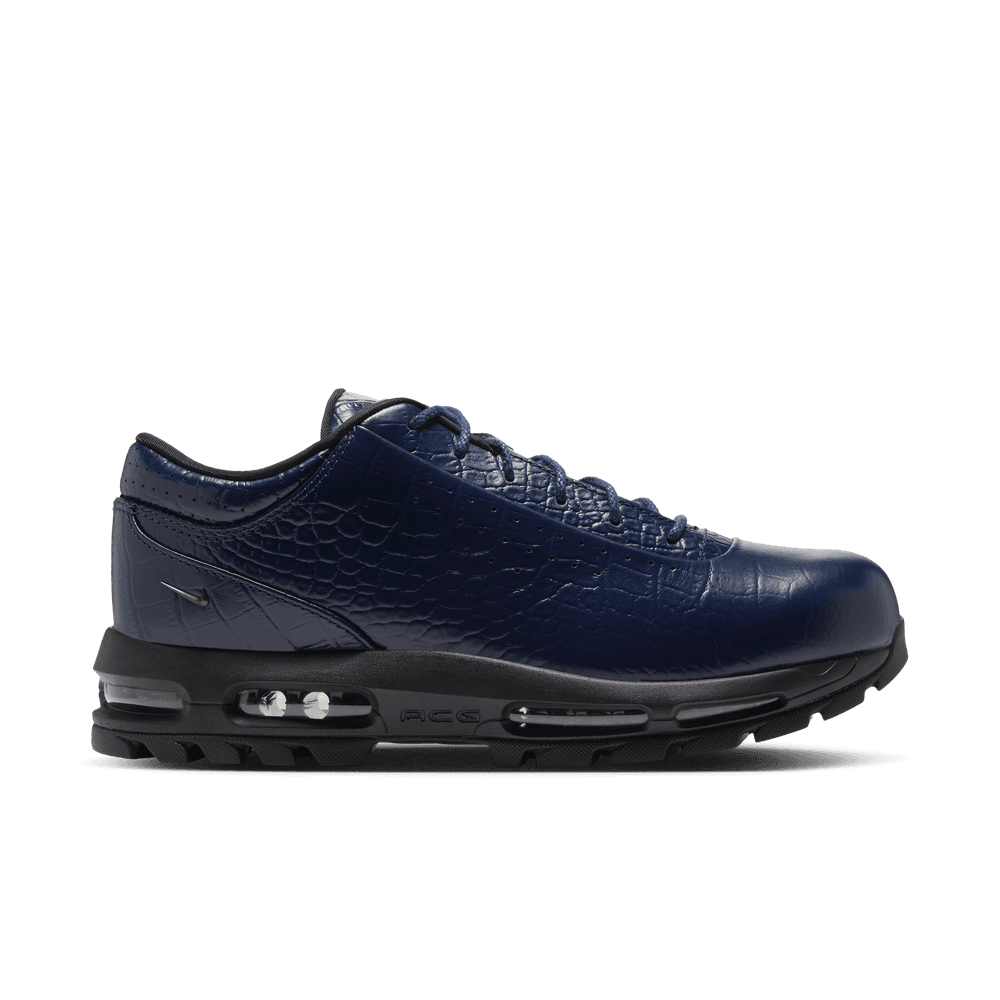 Nike Air Max Goadome Low