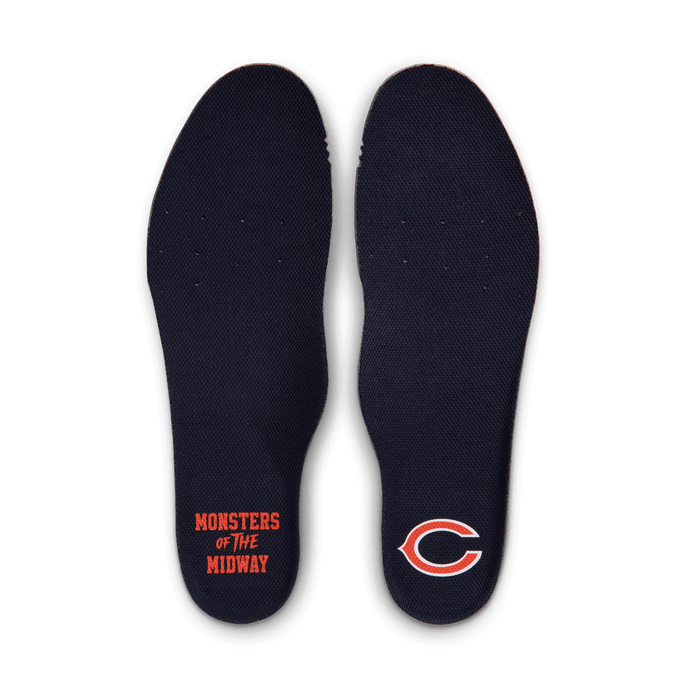 Nike NFL Rivalry Air Max 90 Bears