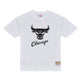M&N NBA Chicago Bulls Monochrome Short Sleeve Tee