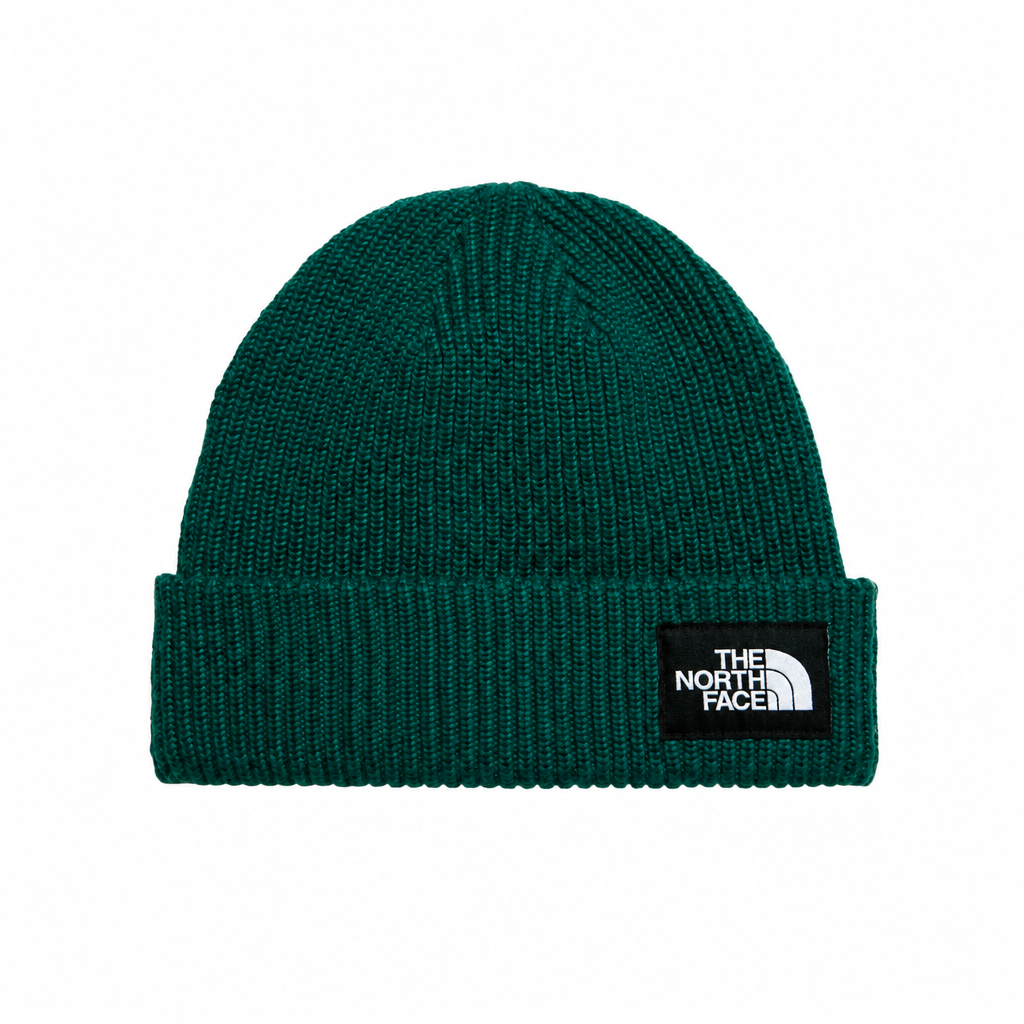 TNF Salty Lined Beanie