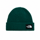 TNF Salty Lined Beanie