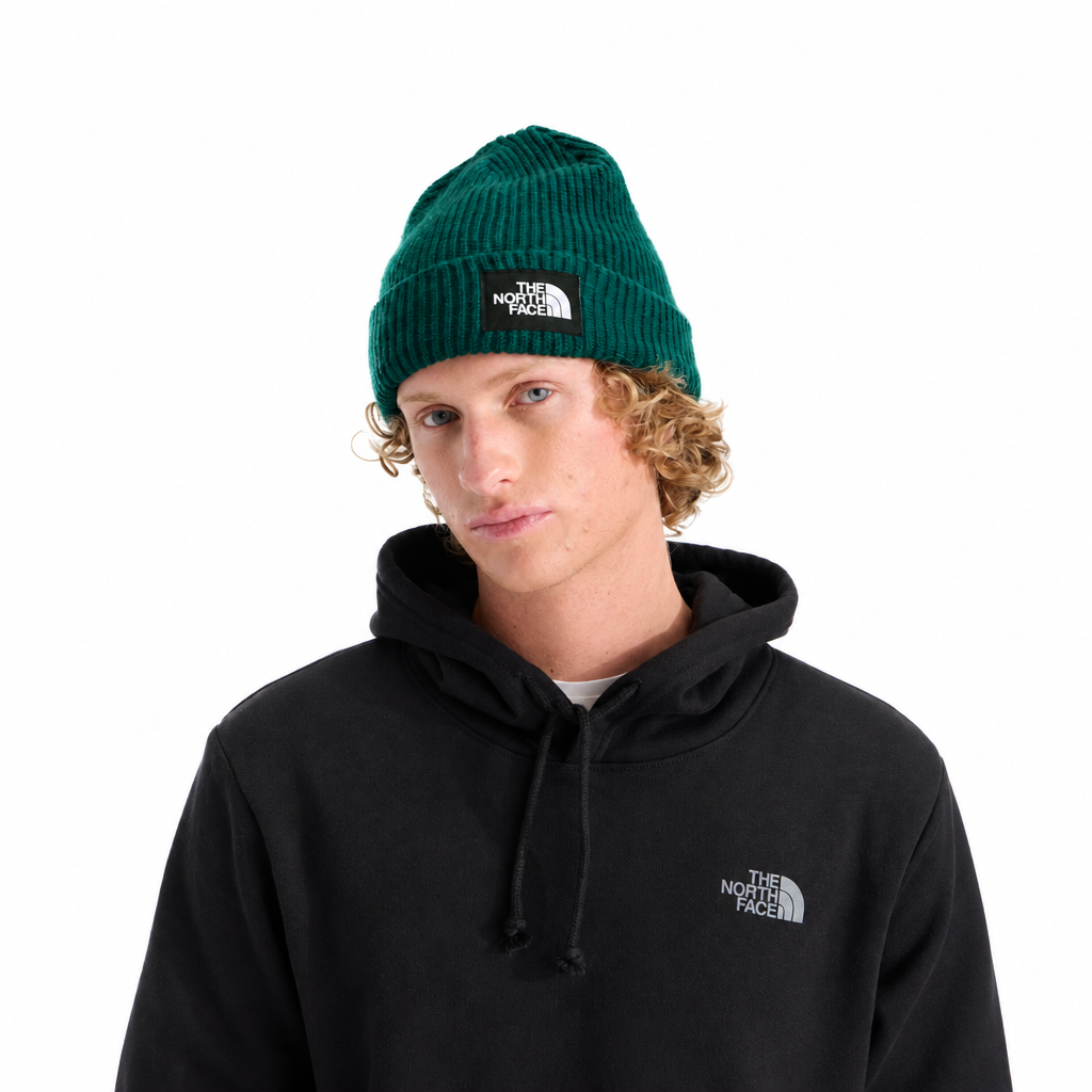TNF Salty Lined Beanie