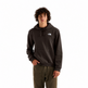 TNF Evolution Box NSE Regular Hoodie