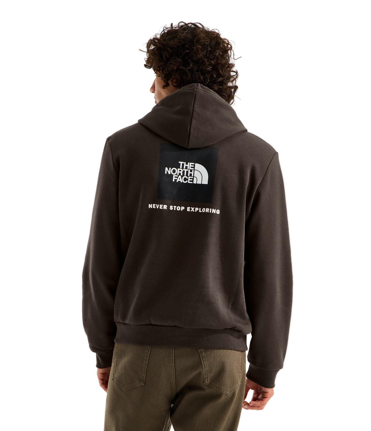 TNF Evolution Box NSE Regular Hoodie
