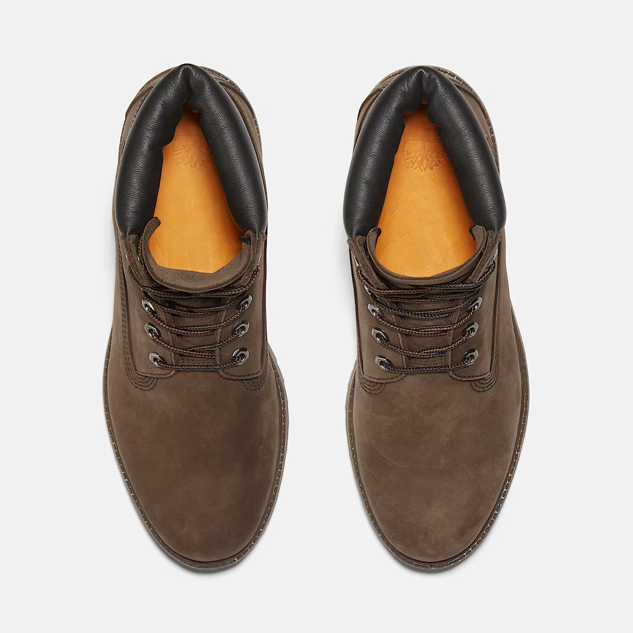 Timberland Premium 6-Inch Waterproof Boot