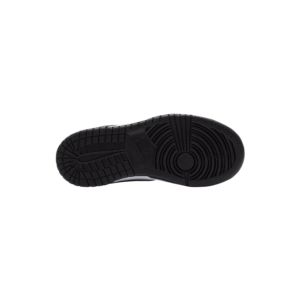 PS Nike Dunk Low