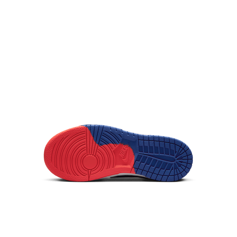 PS Nike Dunk Low