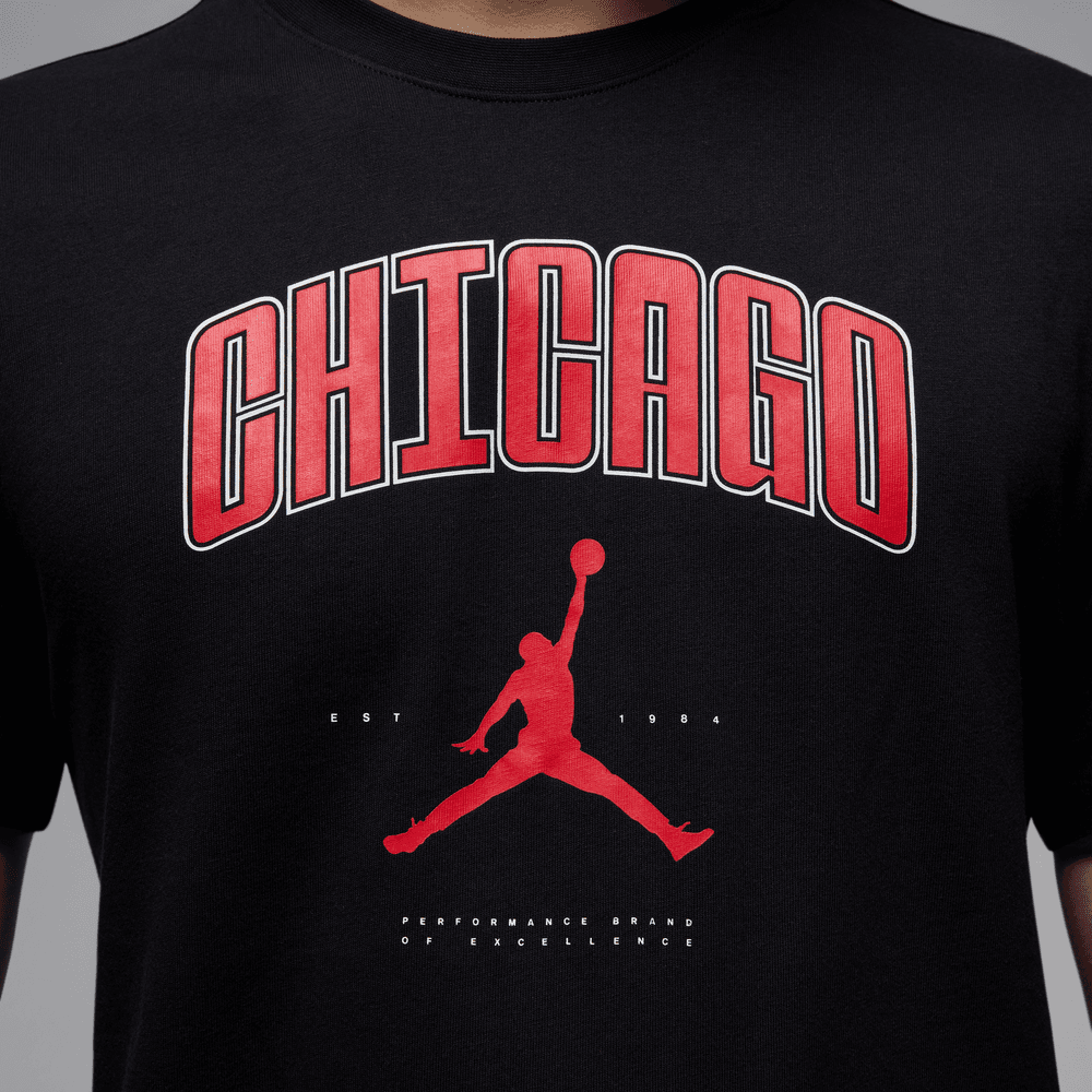 Air Jordan Chicago Tee FA25