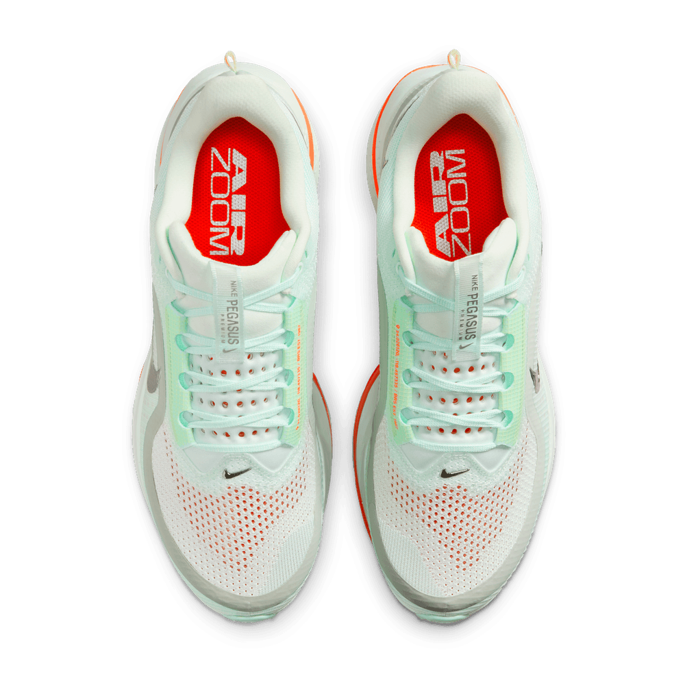 Nike Pegasus Premium