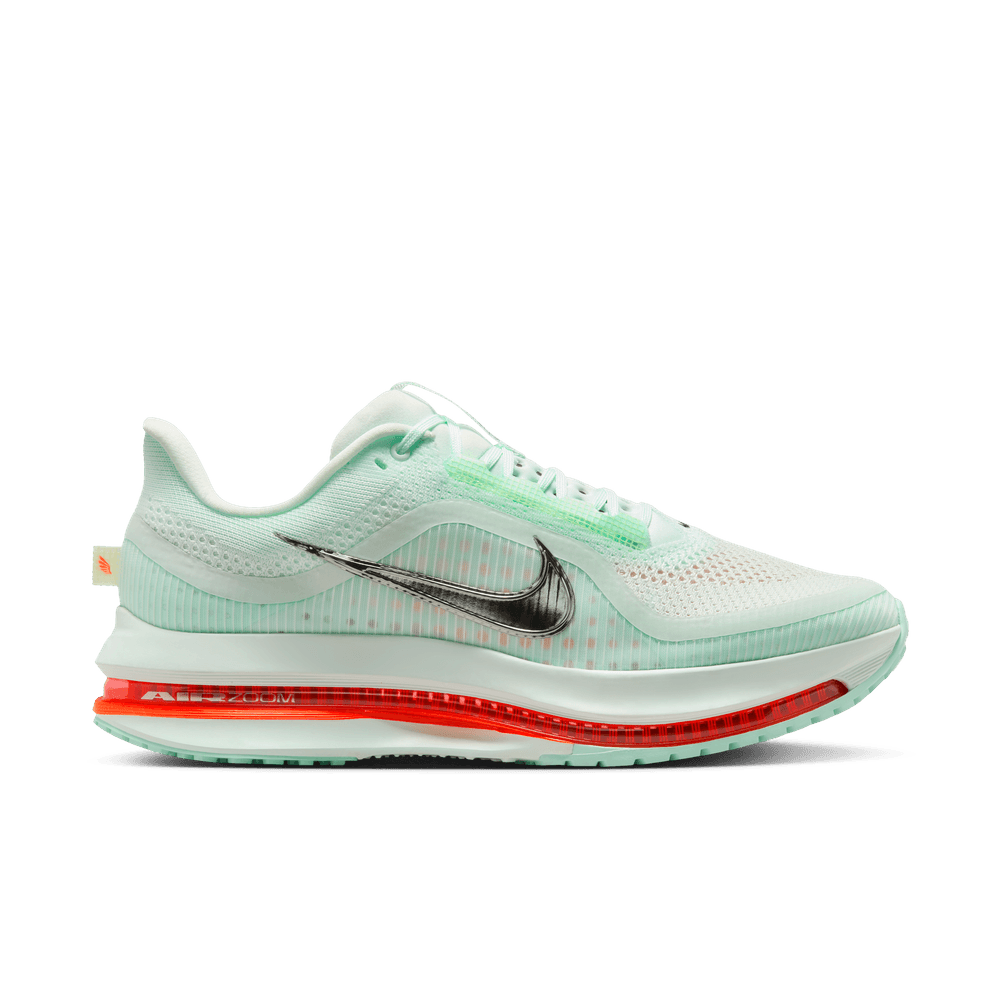 Nike Pegasus Premium
