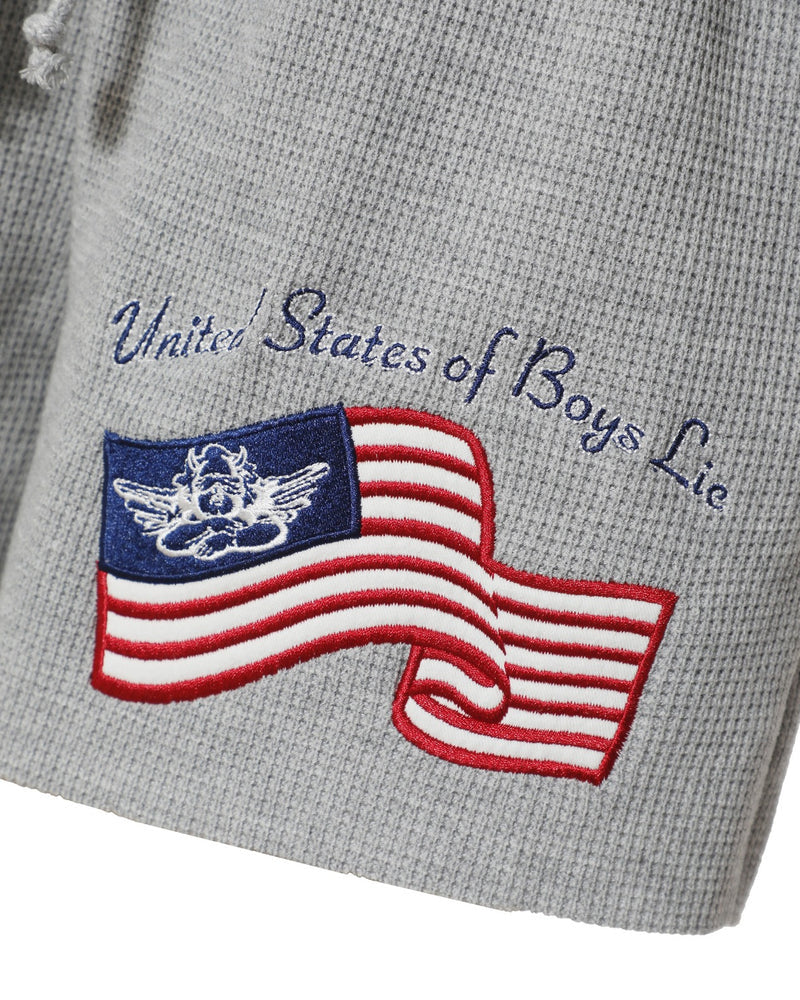 Boys Lie United States of Boys Lie Basic Shorts