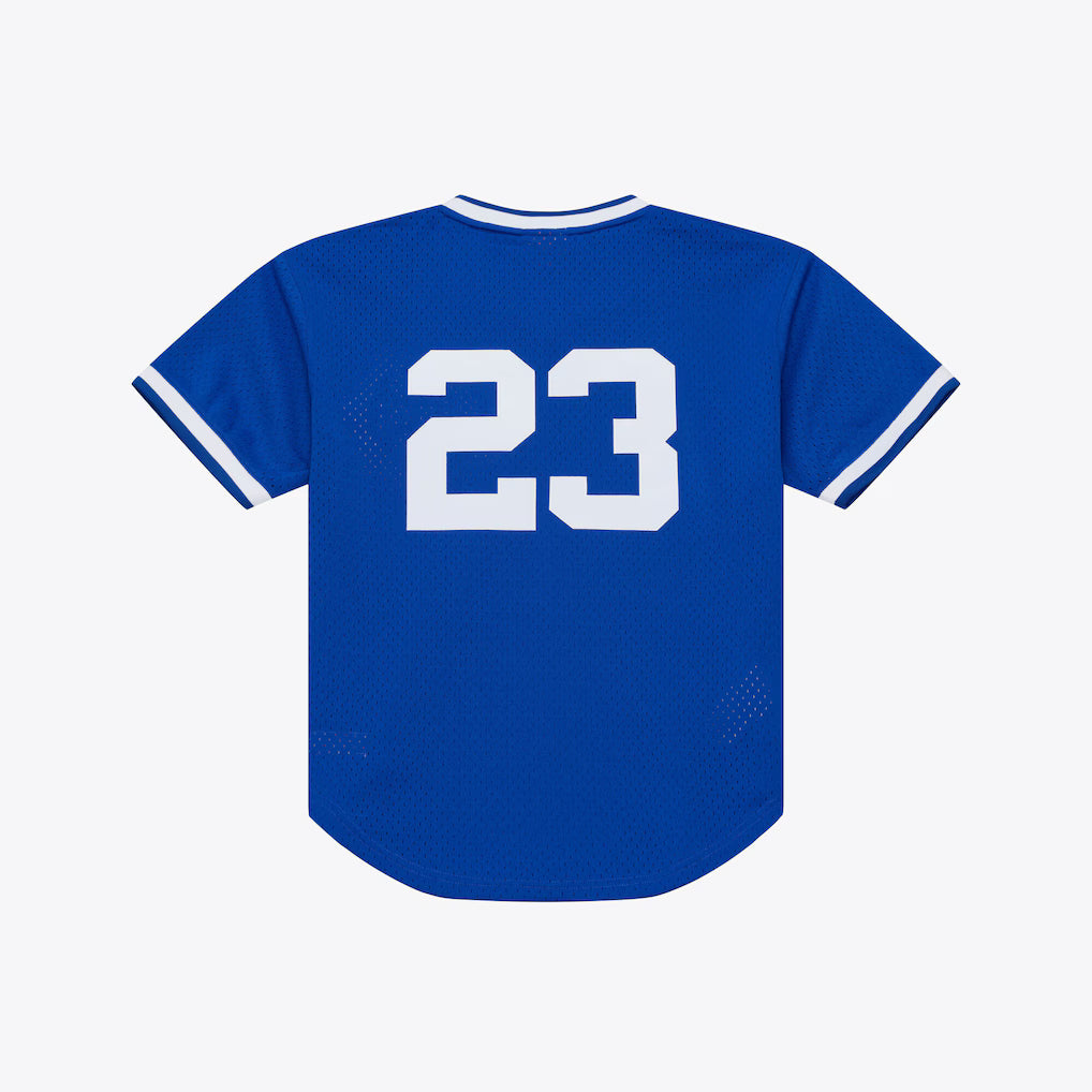 M&amp;N Chicago Cubs 1984 Ryne Sandberg Authentic Batting Practice Pullover Jersey