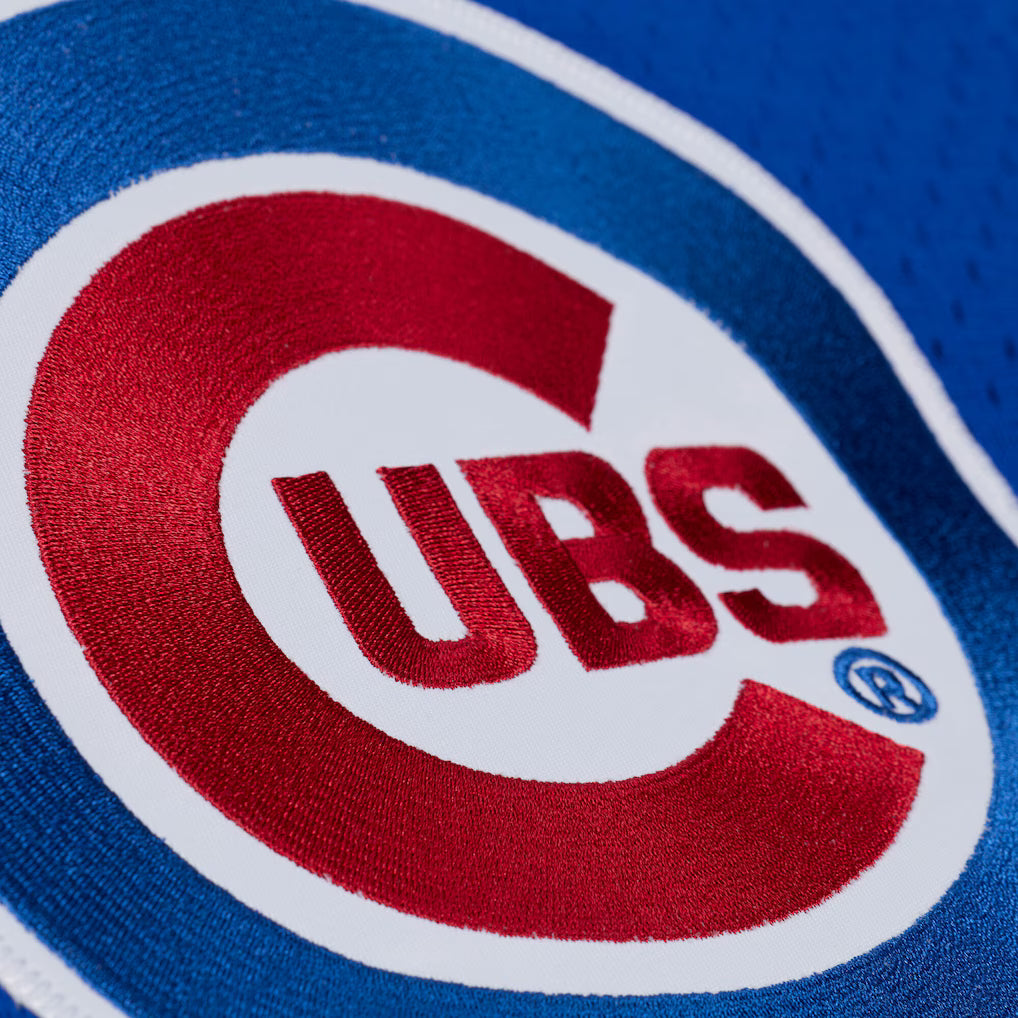 M&amp;N Chicago Cubs 1984 Ryne Sandberg Authentic Batting Practice Pullover Jersey