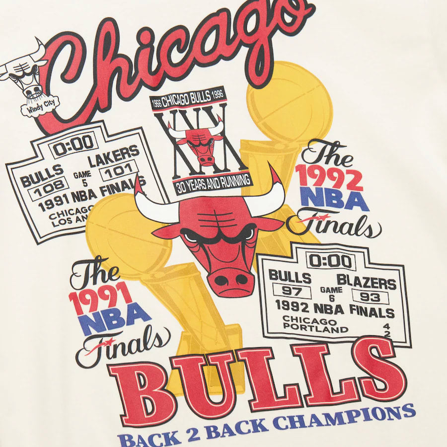 M&N NBA Champions Bulls Tee
